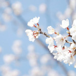 Priča o prijateljstvu