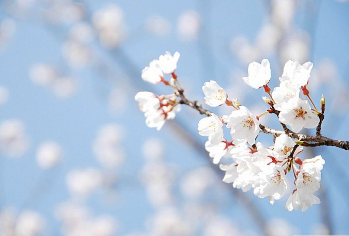 Priča o prijateljstvu